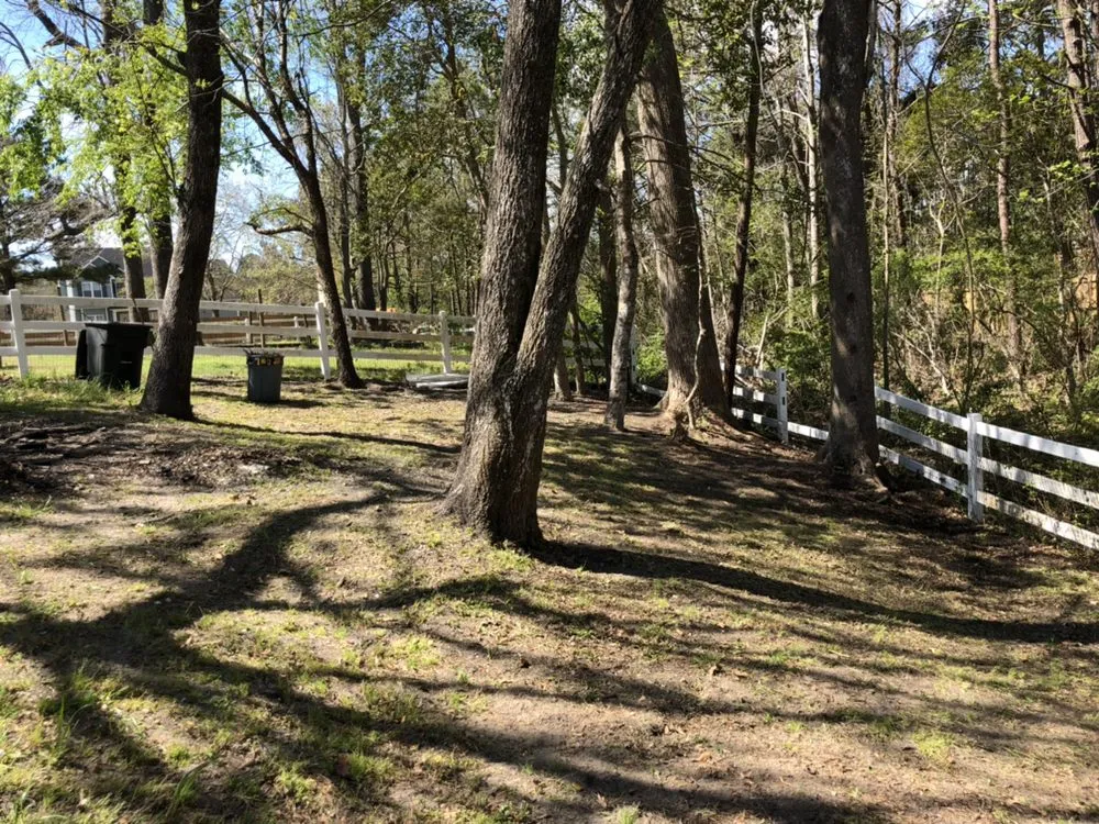 Local yard cleanup service experts serving Wilmington, NC - C & C Lawn and Homes Services