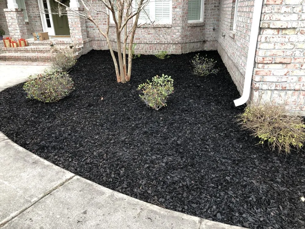 Top-rated landscape installation in Wilmington, NC - C & C Lawn and Homes Services