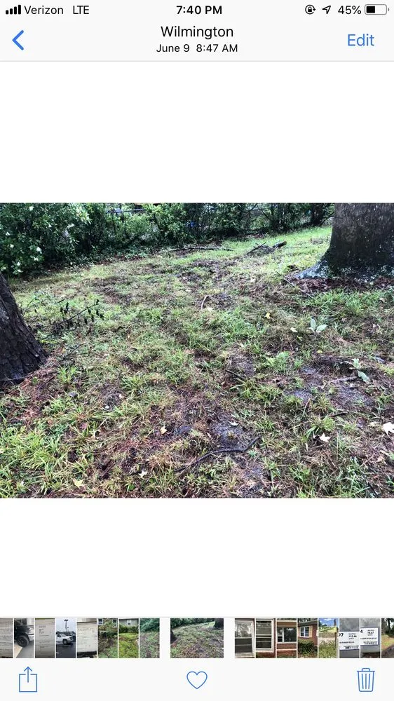 Custom lawn mowing service experts serving Wilmington, NC - C & C Lawn and Homes Services