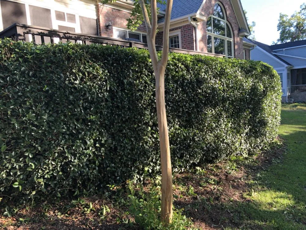 Reliable residential landscaping experts serving Wilmington, NC - C & C Lawn and Homes Services