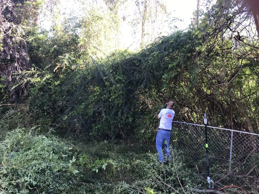 Trusted yard maintenance experts serving Wilmington, NC - C & C Lawn and Homes Services