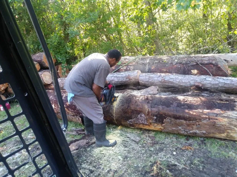 Expert lawn mowing service experts serving Wilmington, NC - C & C Lawn and Homes Services