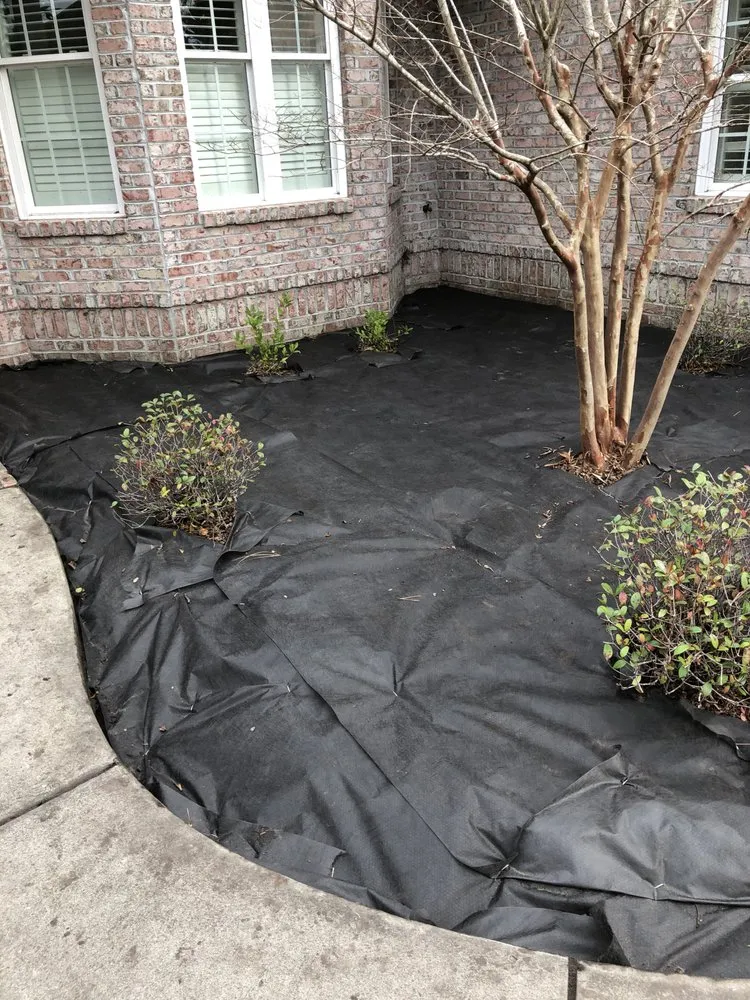 Trusted landscape installation near you across Wilmington, NC - C & C Lawn and Homes Services