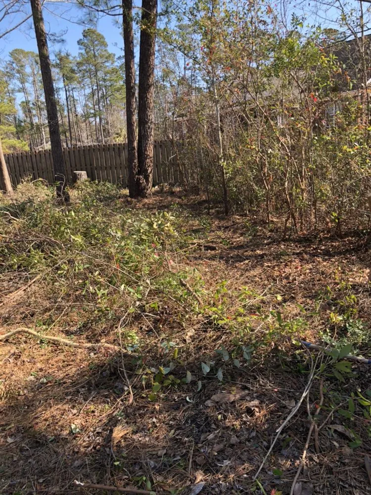 Custom yard maintenance for year-round maintenance in Wilmington, NC by C & C Lawn and Homes Services