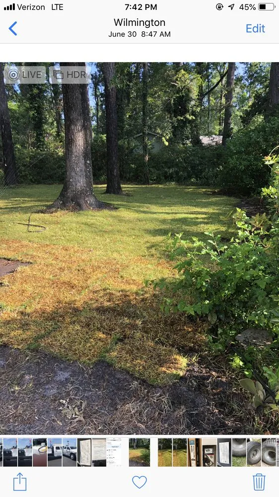 Local lawn mowing service in Wilmington, NC by C & C Lawn and Homes Services