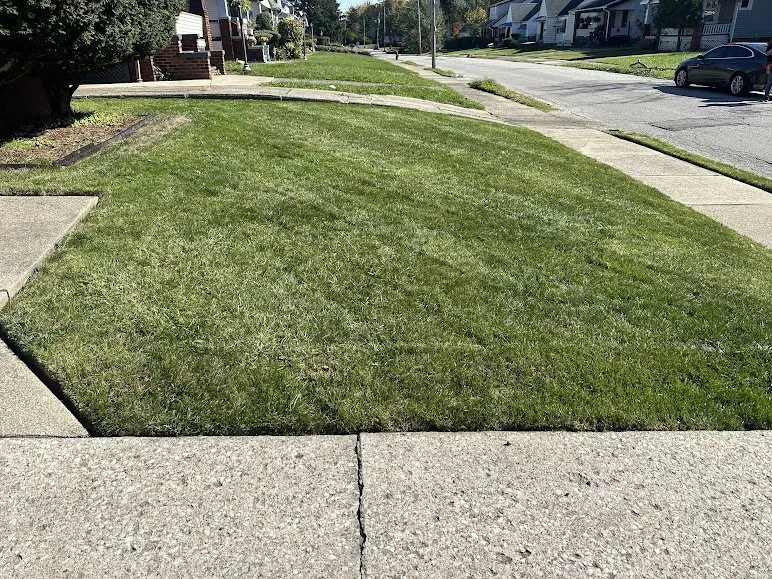 Professional yard cleanup service for homes across Cleveland, OH - C & C Lawn Care