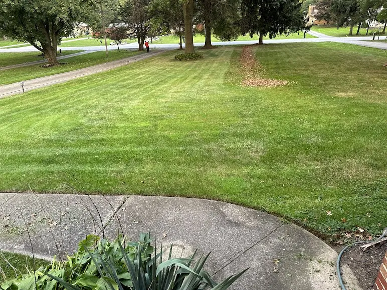Expert yard cleanup service for homes across Cleveland, OH - C & C Lawn Care