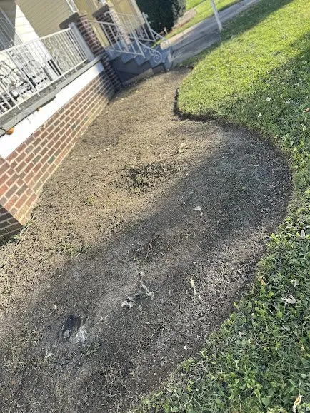 Top-rated landscape installation in Cleveland, OH by C & C Lawn Care