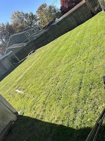 Affordable lawn mowing service in Cleveland, OH - C & C Lawn Care