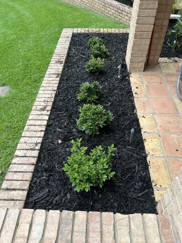 Trusted yard maintenance experts serving Kilgore, TX - C & C Lawn Care