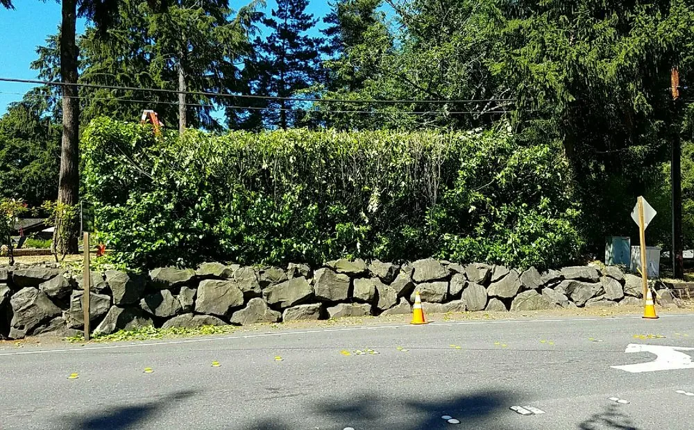 Expert outdoor landscaping experts serving Federal Way, WA - C & C Lawn Service