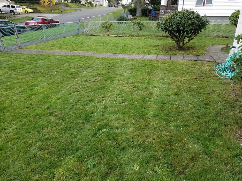 Expert lawn mowing service near you in Federal Way, WA by C & C Lawn Service