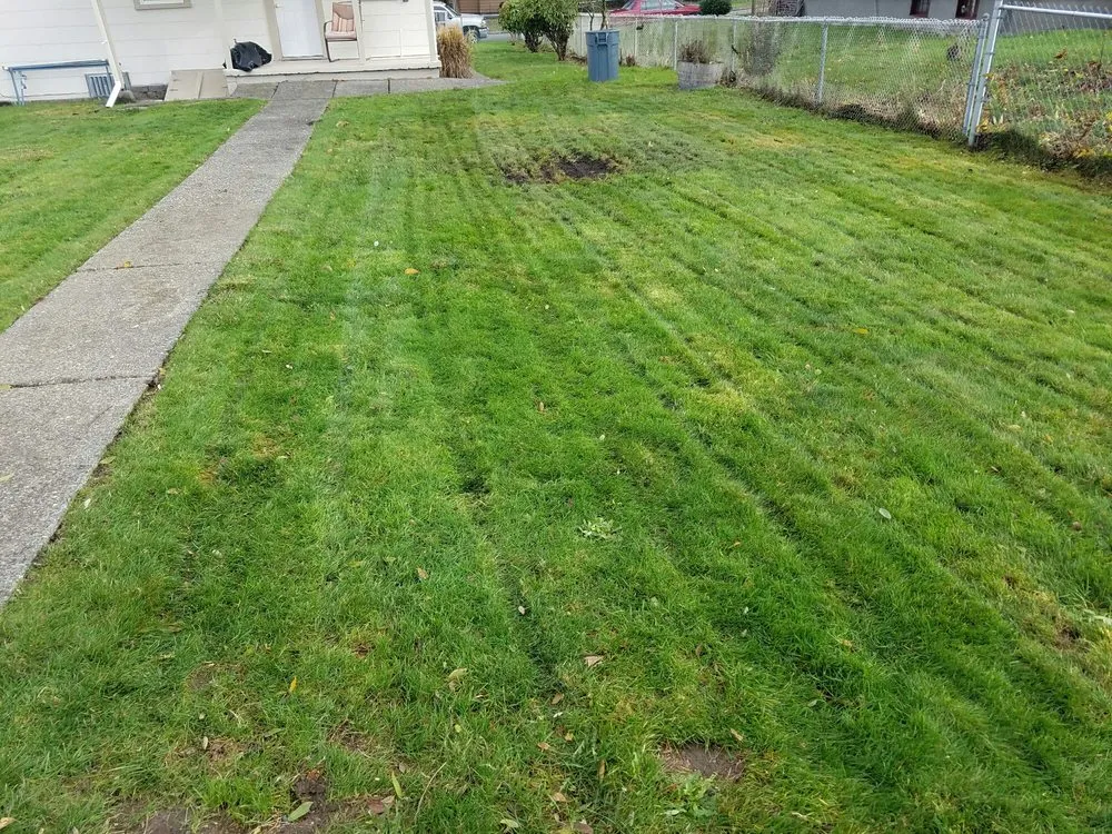 Local lawn care service in Federal Way, WA by C & C Lawn Service