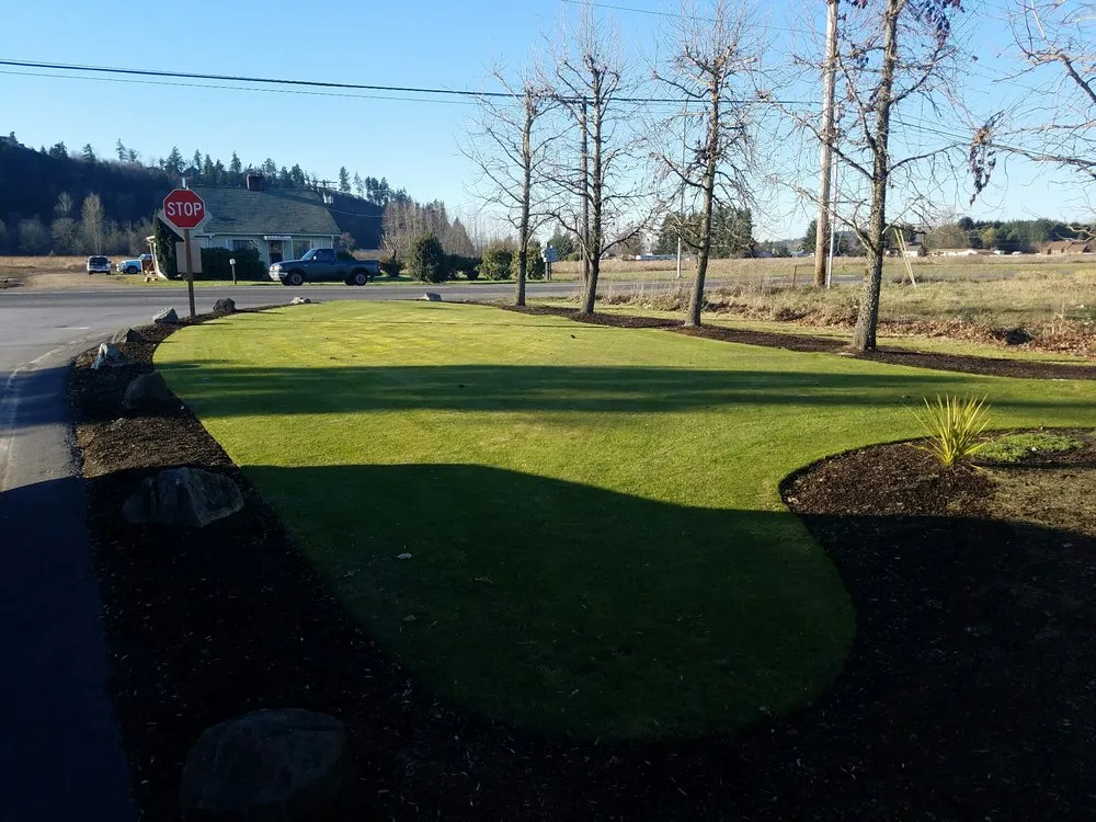 Expert yard cleanup service in Federal Way, WA - C & C Lawn Service