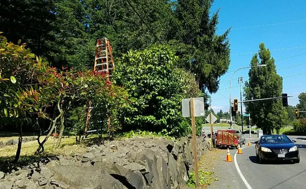 C & C Lawn Service Logo