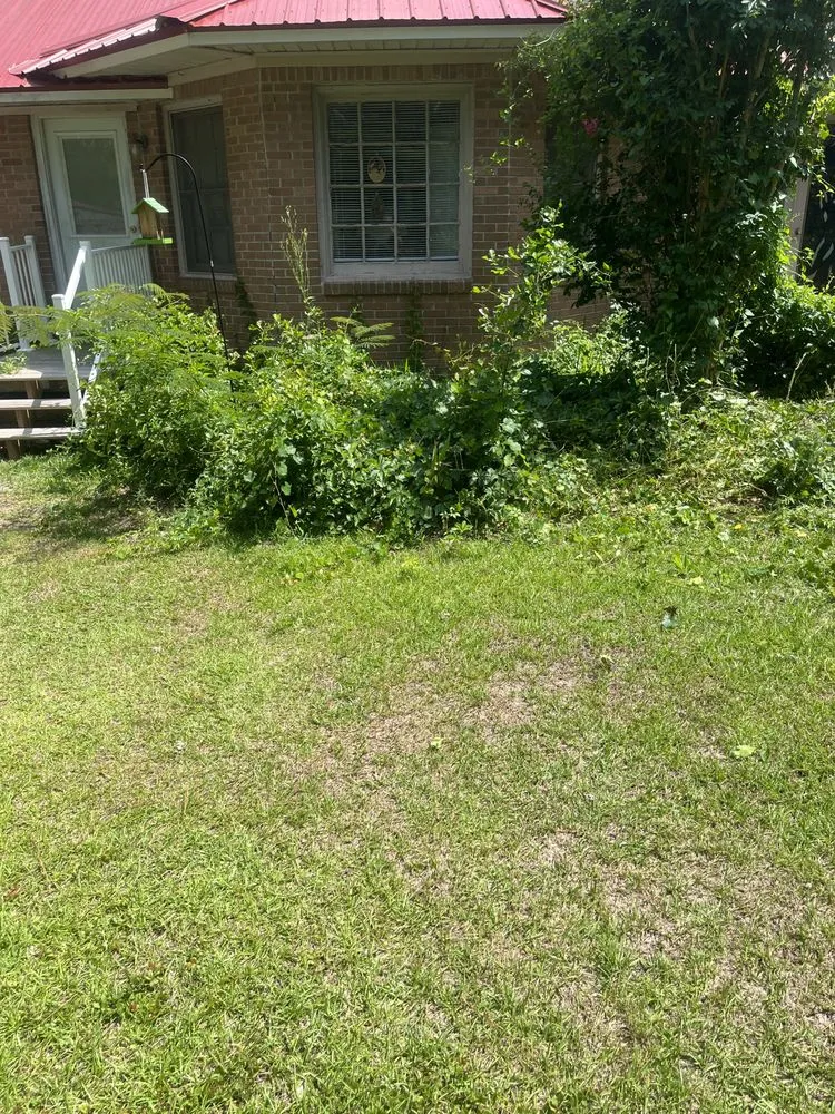 Professional garden landscaping in Columbia, SC by C & C Lawncare