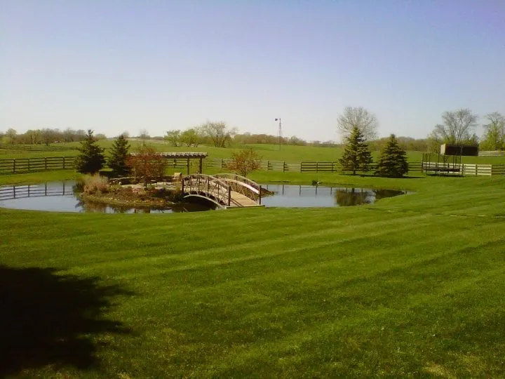Affordable lawn care service for year-round maintenance in Hopkins, MN by C & C Lawns Inc