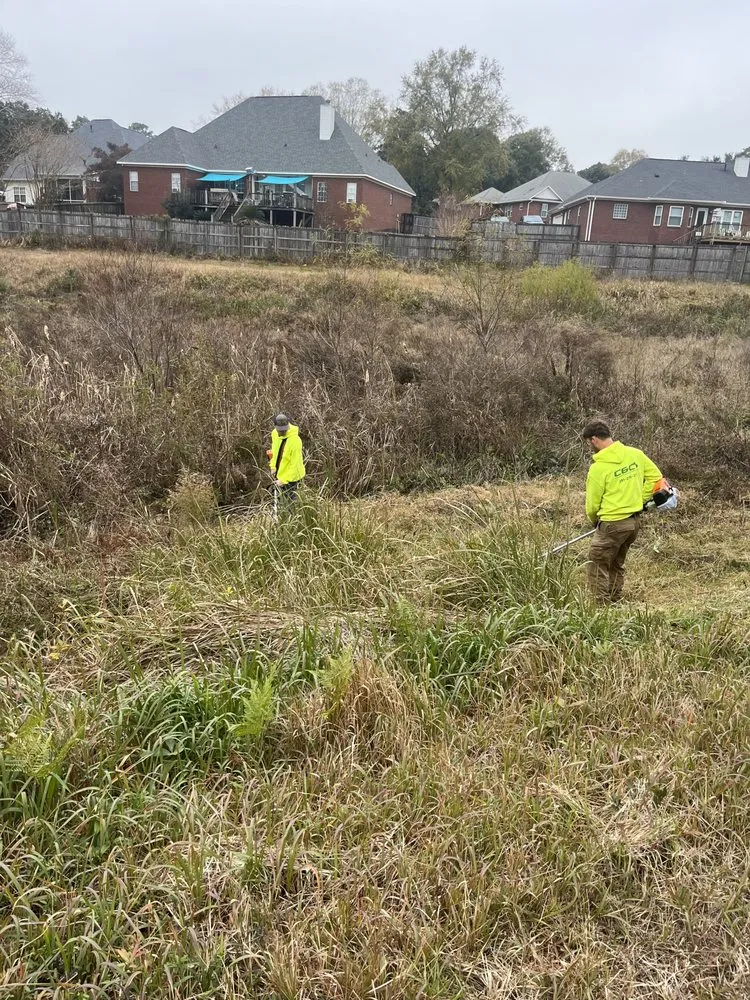 Top-rated garden landscaping experts serving Dauphin Island, AL - C & C Property Maintenance