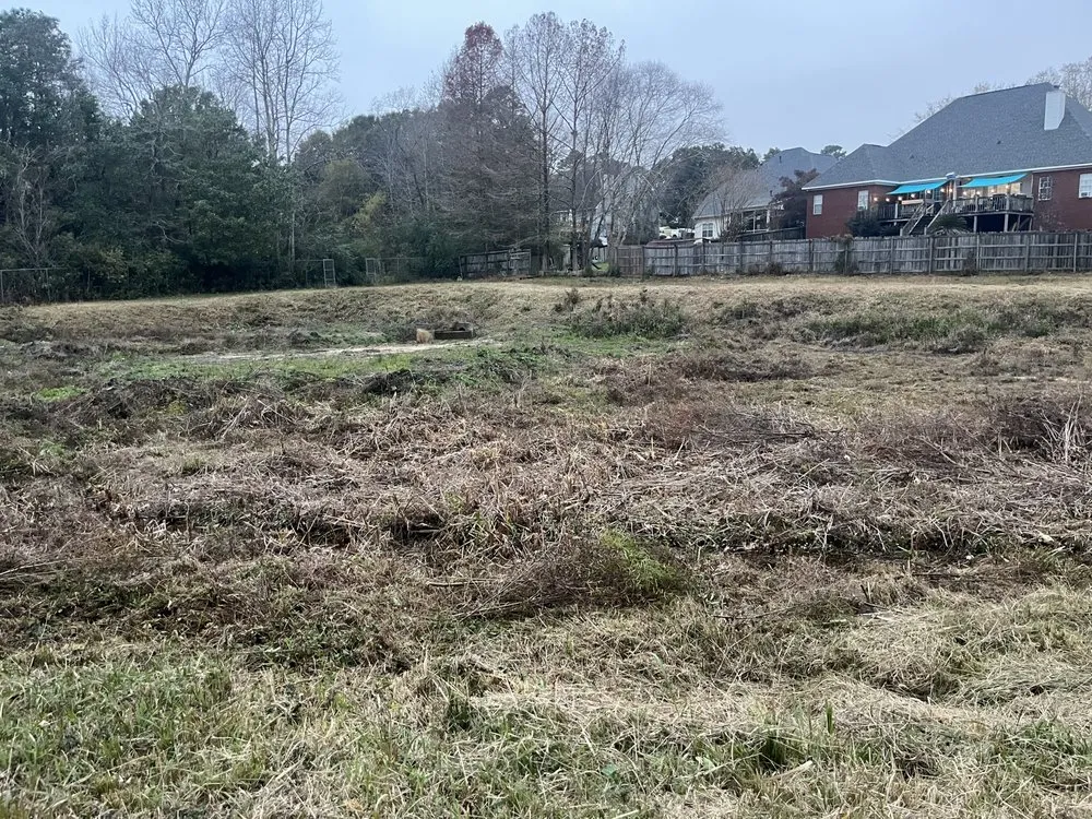 Professional landscape design experts serving Dauphin Island, AL - C & C Property Maintenance