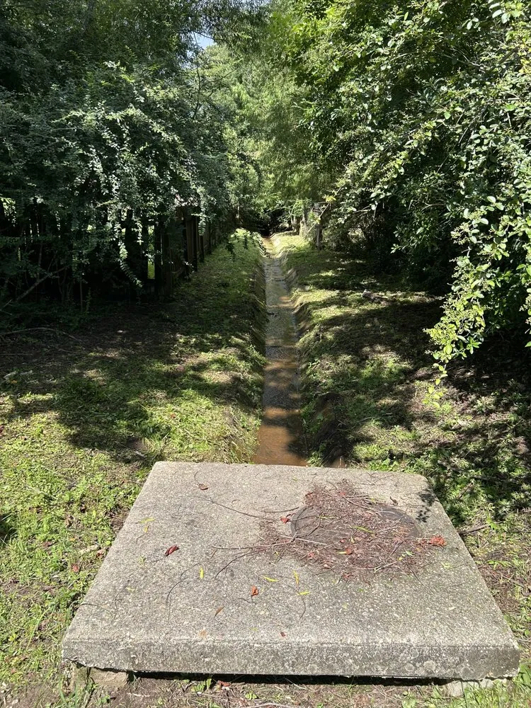 Affordable outdoor landscaping in Dauphin Island, AL by C & C Property Maintenance