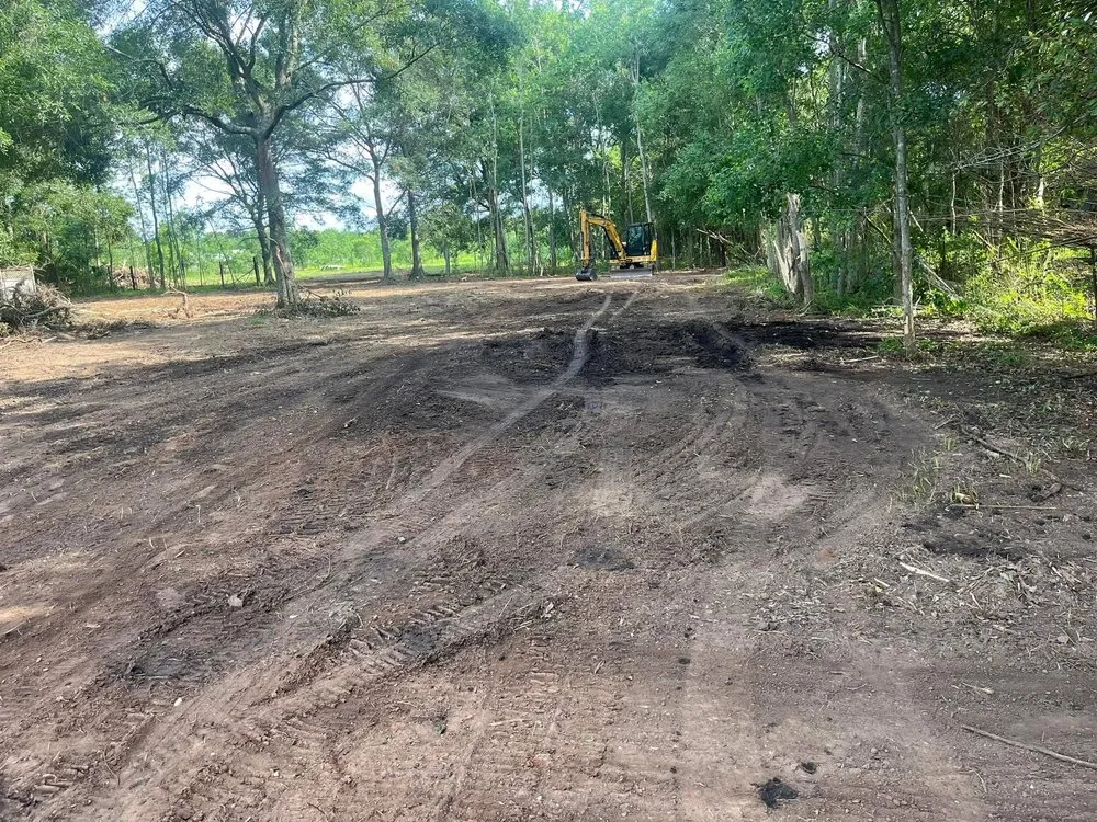 Top-rated outdoor landscaping experts serving Dauphin Island, AL - C & C Property Maintenance