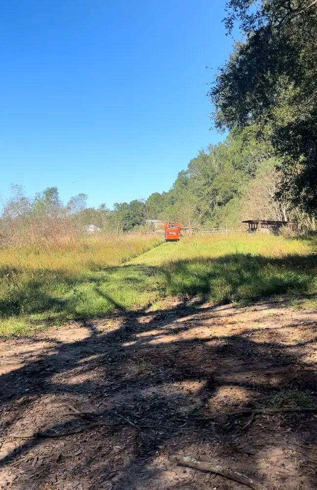 Professional lawn mowing service for residential properties across Dauphin Island, AL - C & C Property Maintenance