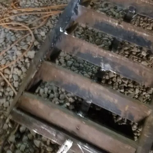 Custom lawn care service in Wendell, NC by C & C Services