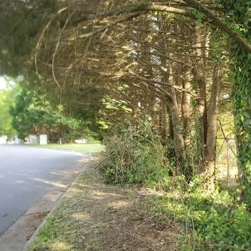 Reliable garden landscaping experts serving Wendell, NC - C & C Services