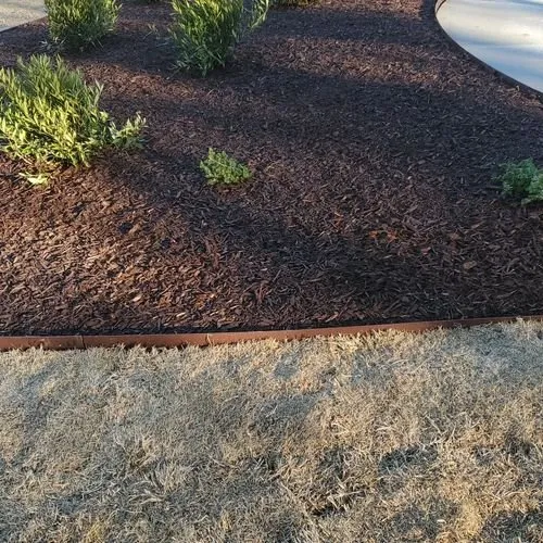 Reliable lawn mowing service in Wendell, NC by C & C Services