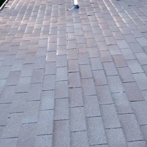 Local residential landscaping in Wendell, NC by C & C Services