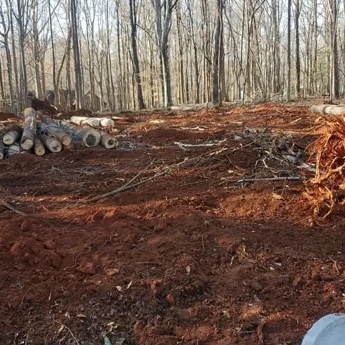 Local landscape installation experts serving Wendell, NC - C & C Services