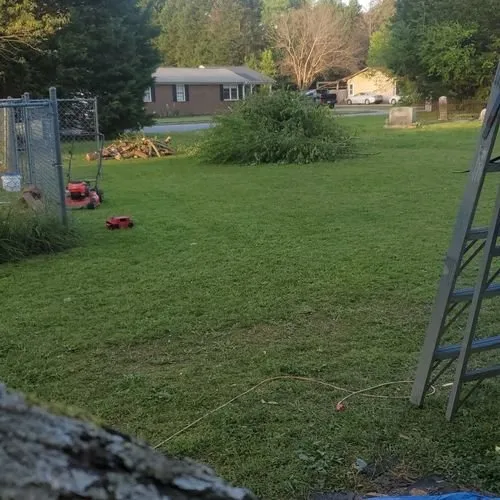 Top-rated yard cleanup service experts serving Wendell, NC - C & C Services