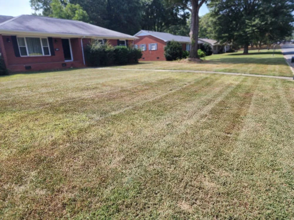 Professional yard cleanup service experts serving Wingate, NC - C & C Superior Landscaping and Lawn Care