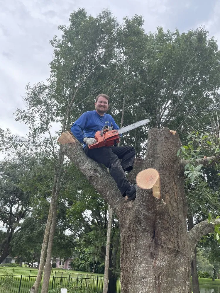 Expert landscape installation experts serving Sarasota, FL - C & C Tree Service