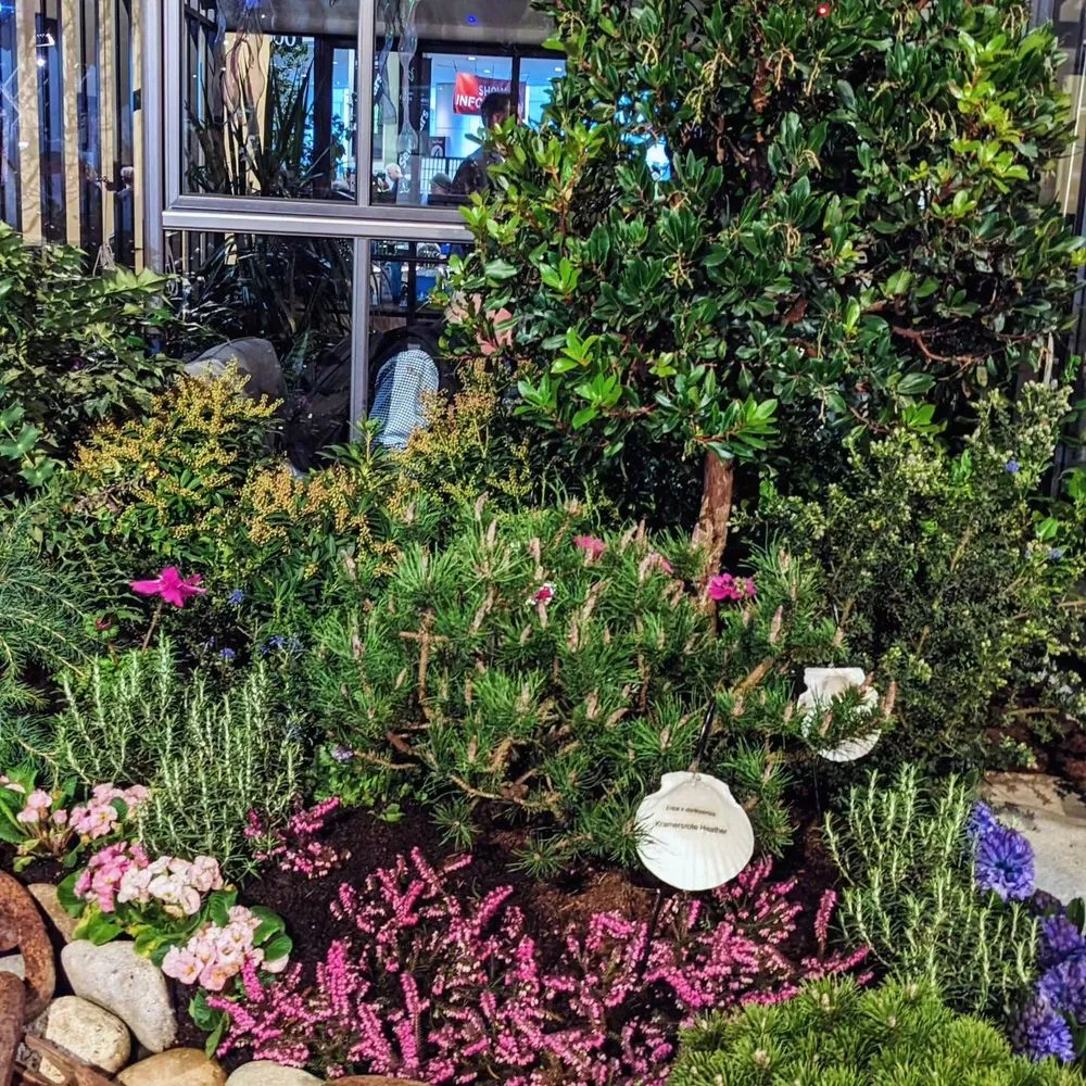 Expert yard cleanup service in Clinton, WA by C & C Wilkie Excavating and Landscaping