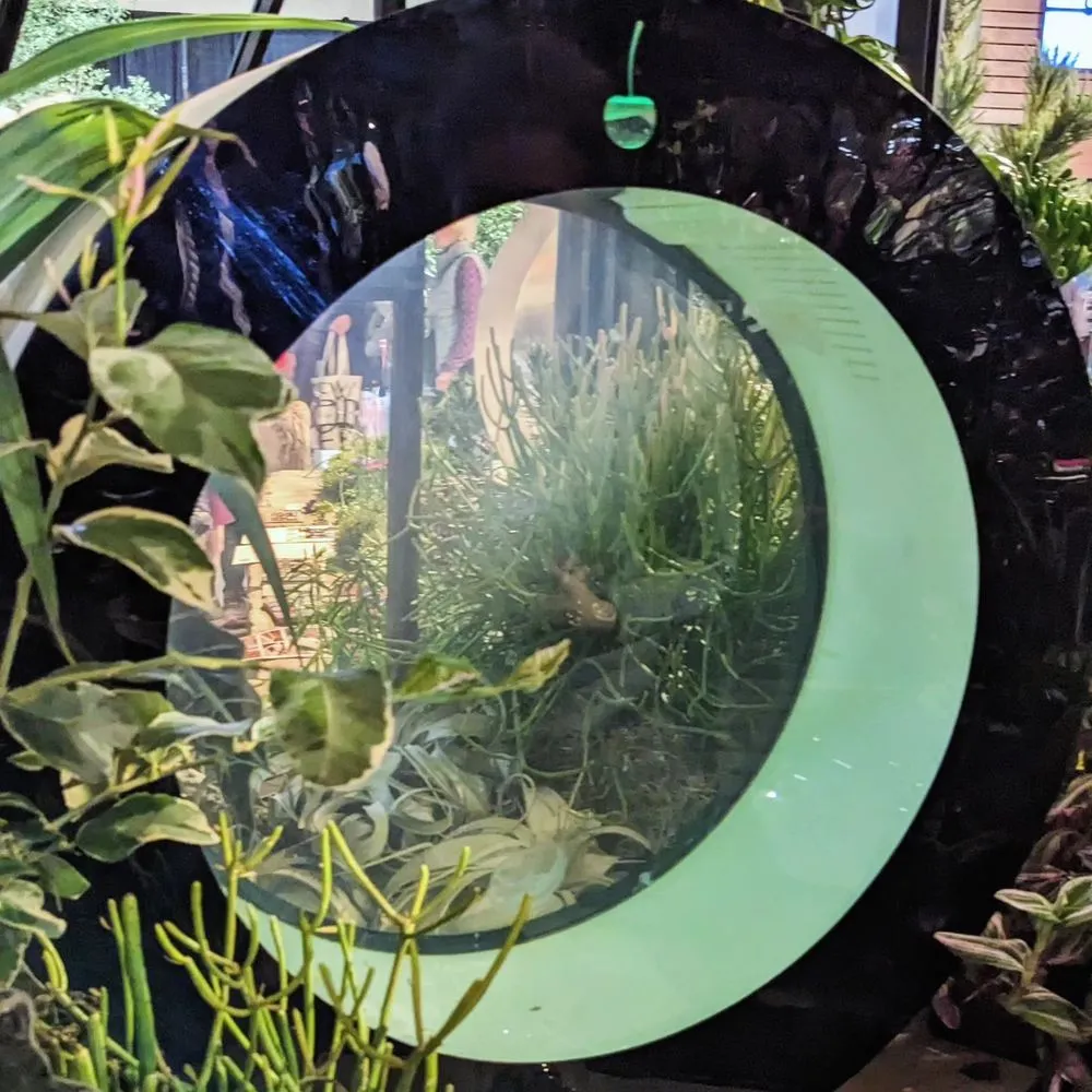 Reliable lawn mowing service in Clinton, WA - C & C Wilkie Excavating and Landscaping