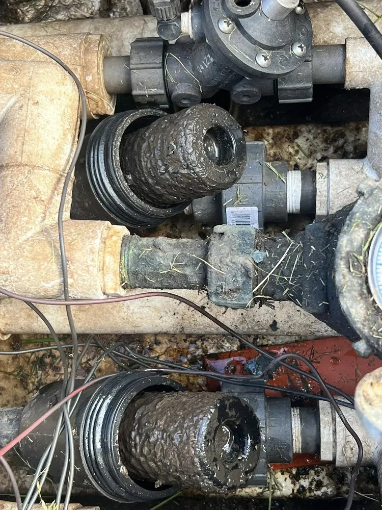 Top-rated lawn care service in Clinton, WA by C & C Wilkie Excavating and Landscaping