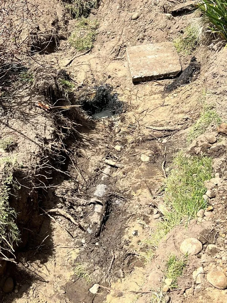 Top-rated lawn mowing service experts serving Clinton, WA - C & C Wilkie Excavating and Landscaping