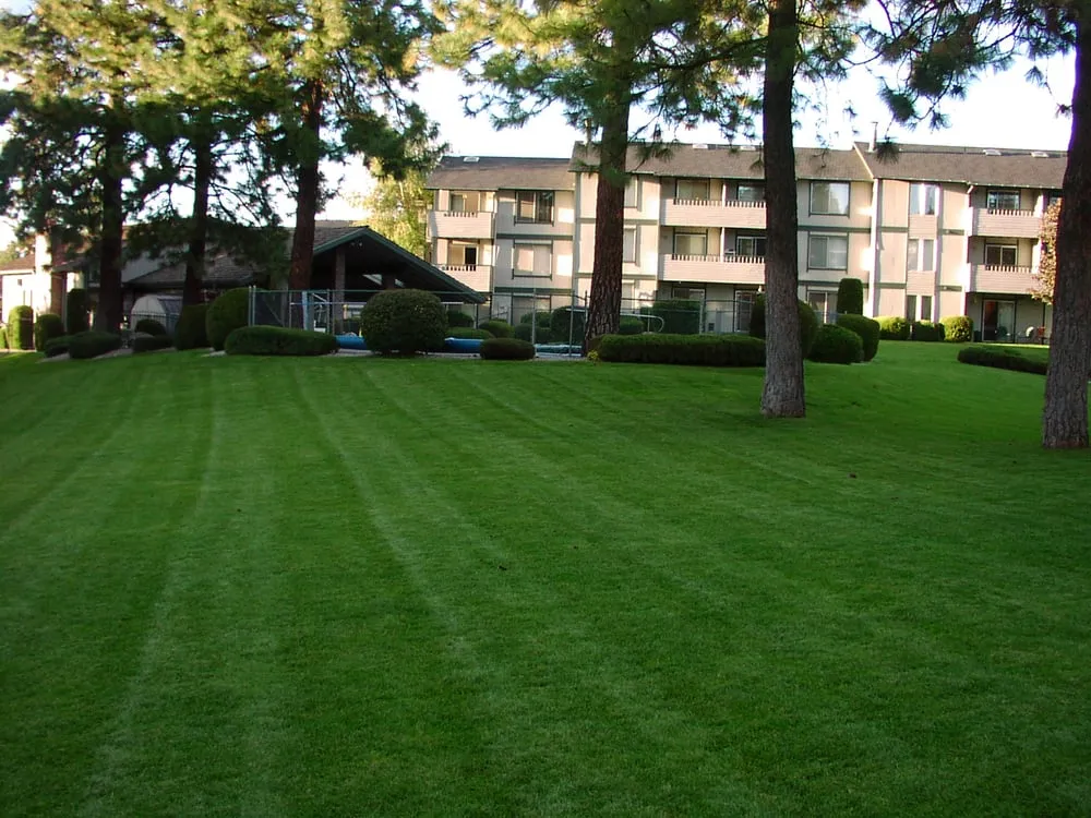 Expert lawn mowing service in Spokane, WA by C & C Yard Care