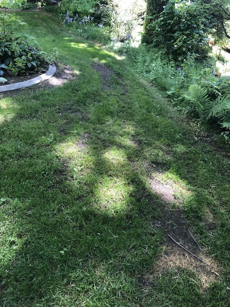 Professional outdoor landscaping near you across Spokane, WA - C & C Yard Care