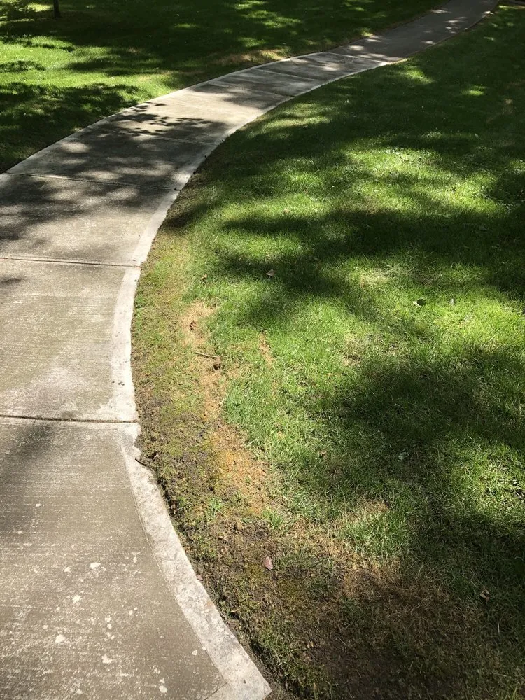 Expert yard maintenance in Spokane, WA - C & C Yard Care
