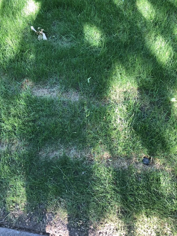 Trusted landscape design experts serving Spokane, WA - C & C Yard Care