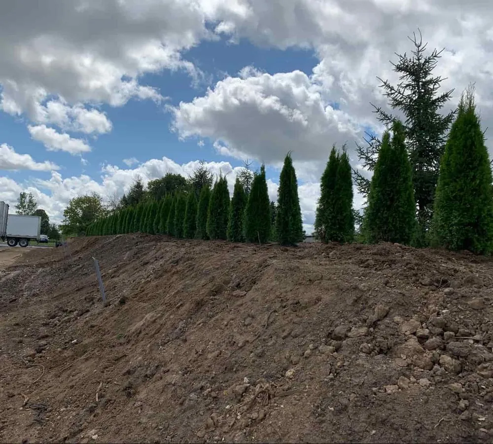 Expert residential landscaping experts serving Holland, MI - C & C's Plants and Landscapes