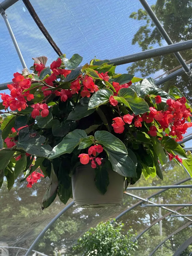 Professional garden landscaping experts serving Holland, MI - C & C's Plants and Landscapes