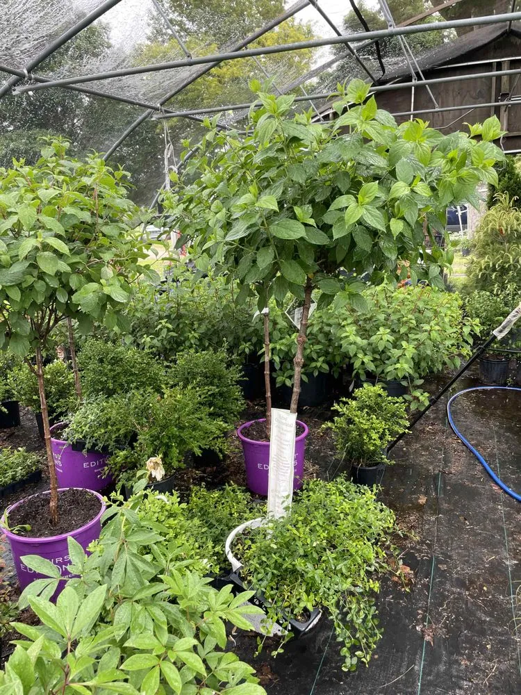 Trusted outdoor landscaping for residential properties in Holland, MI by C & C's Plants and Landscapes