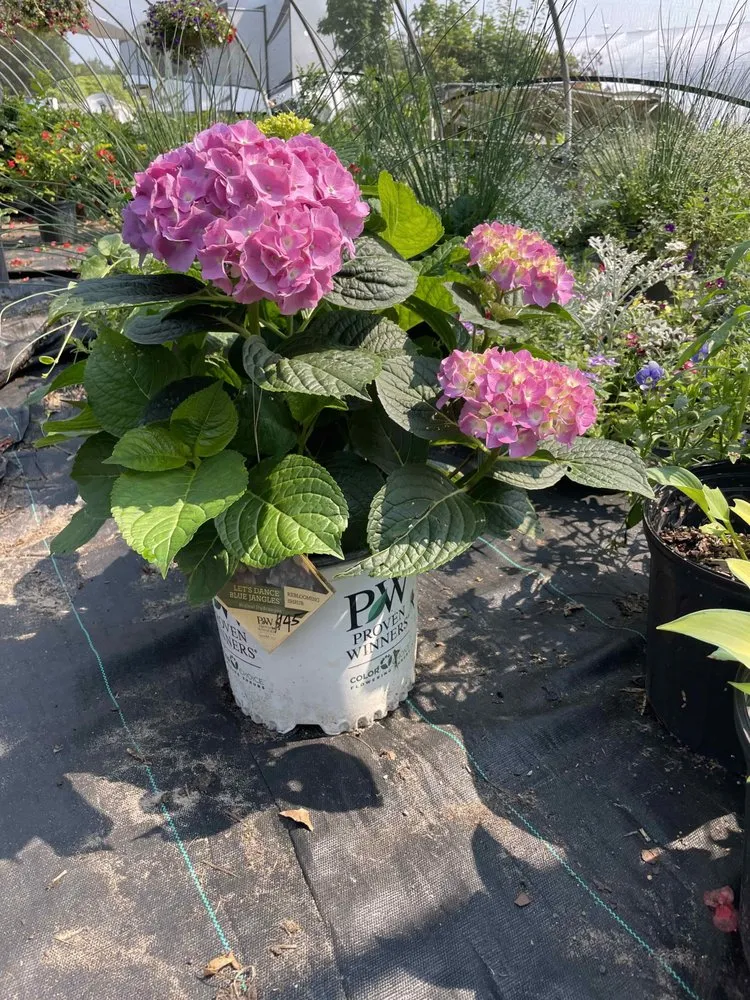 Reliable yard maintenance in Holland, MI - C & C's Plants and Landscapes