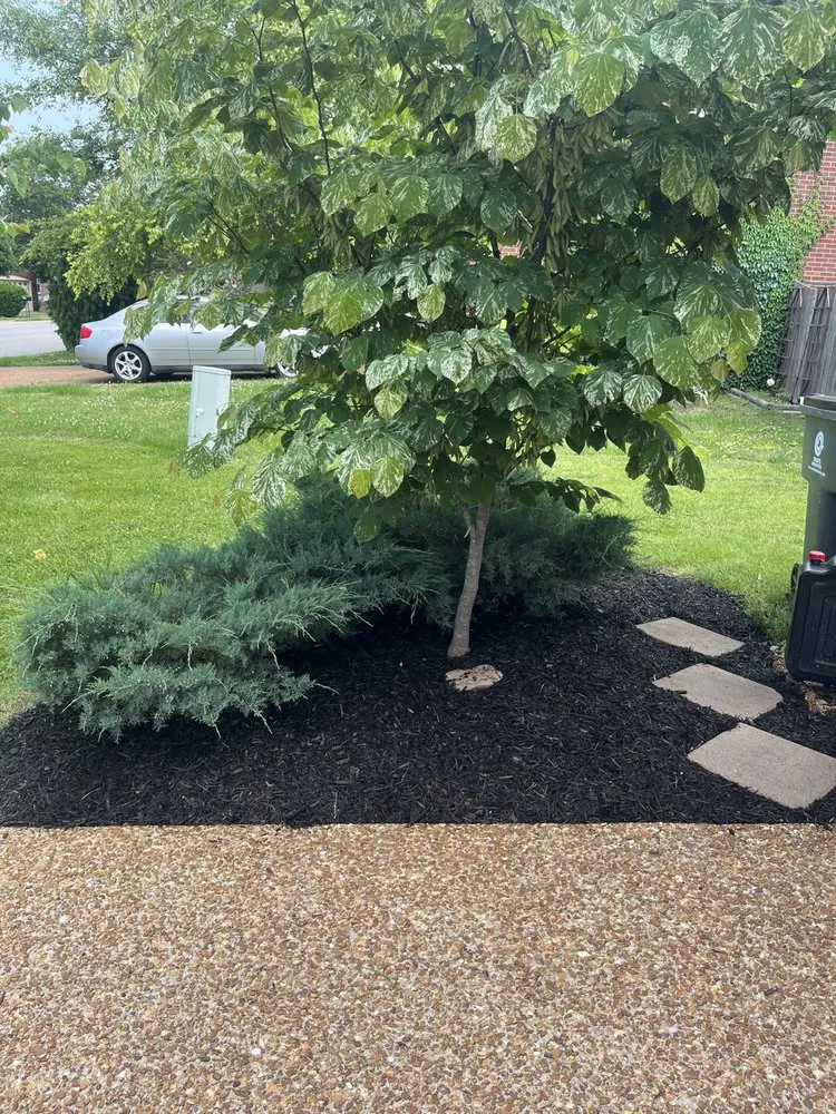 Affordable yard cleanup service in Dickson, TN - C & D Landscaping