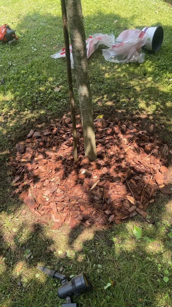 Affordable residential landscaping for year-round maintenance across Dickson, TN - C & D Landscaping