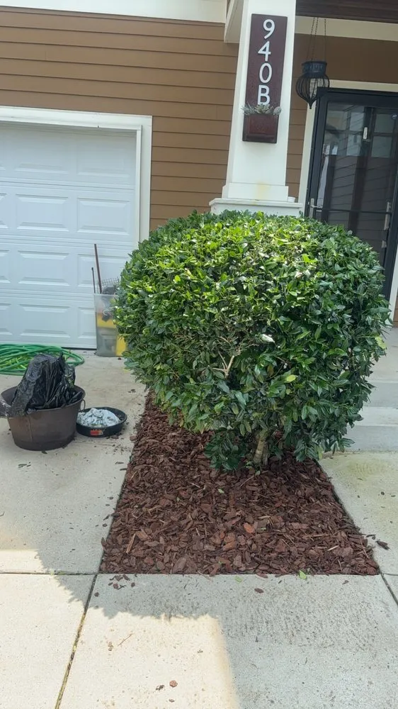 Custom yard cleanup service experts serving Dickson, TN - C & D Landscaping