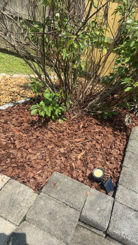 Local landscape installation for beautiful yards across Dickson, TN - C & D Landscaping